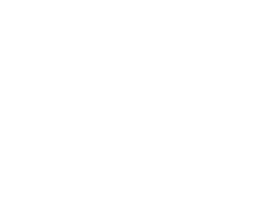 Logo Item
